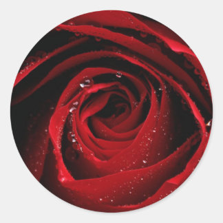 Sello para sobres Rosa Rojo