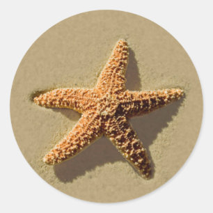 Sello para sobres Starfish Tropical Beach Wedding