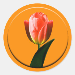 Sello para sobres Tulip