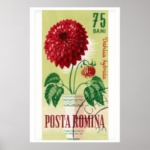 Sello postal rumano Impresión Flor de Dalia Roja