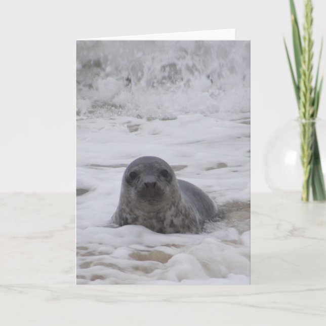 Sello - Tarjeta de felicitación impresa a color an (Anverso)