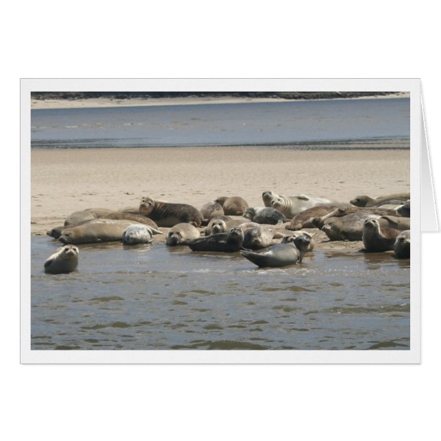 Sellos (Anverso (Horizontal))