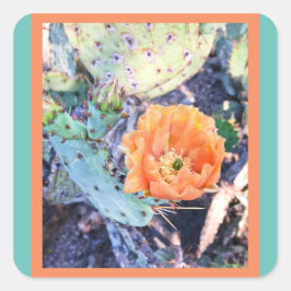 Sellos Cactus de Arizona / Pegatinas