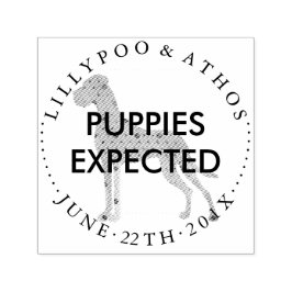 Sellos de anuncio de expectativa de cachorro Gran