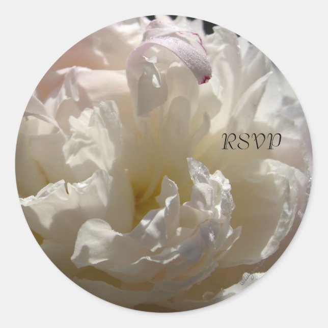 Sellos de invitación a bodas de White Peony 2 RSVP (Anverso)