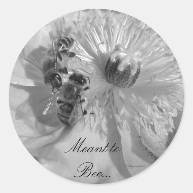 Sellos de invitación a la boda de flores blancas (Anverso)