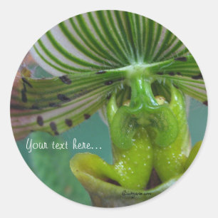 Sellos de invitación a la boda de la orquídea verd