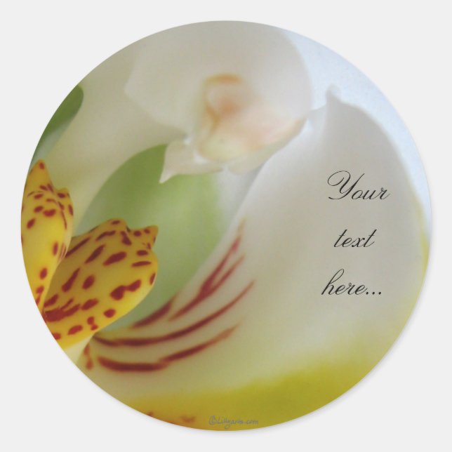 Sellos de invitación a la boda mágica de orquídeas (Anverso)