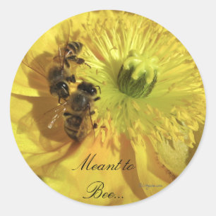 Sellos de invitación de flores de boda amarilla