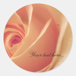 Sellos de invitaciones de boda de crema de Rosa de