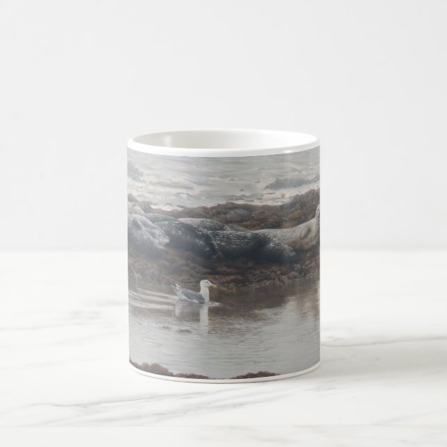 Sellos de puerto y taza de la gaviota (Centro)