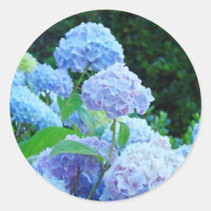 Sellos de sobre de boda Flores de Hortensias Azule