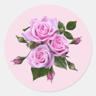 Sellos de Sobre de Pegatinas Redondas de Rosas Ros