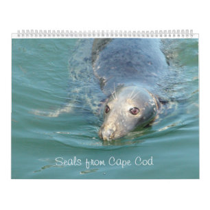 Sellos del calendario de bacalao del Cabo