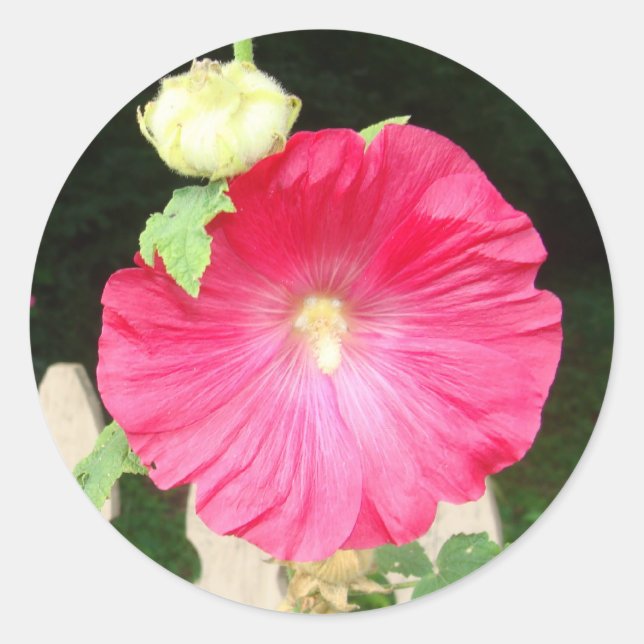 Sellos del Hollyhock (Anverso)