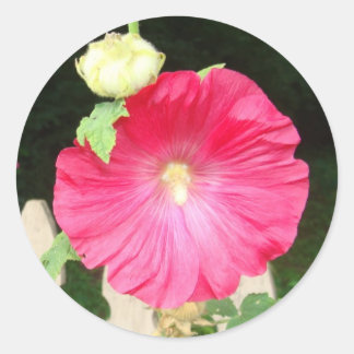 Sellos del Hollyhock