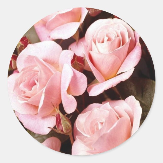 Sellos para sobres (Anverso)