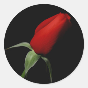 Sellos para sobres de invitación RSVP para boda de
