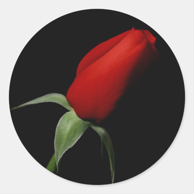 Sellos para sobres de invitación RSVP para boda de (Anverso)