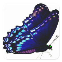 Sellos para sobres de mariposa