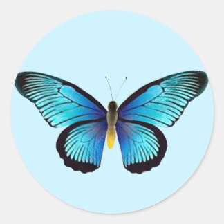 Sellos para sobres de mariposa azul