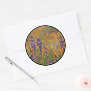 Sellos para sobres de Naranja de Lupines del Desie