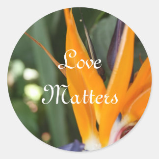 Sellos para sobres de pájaro del Boda del paraíso