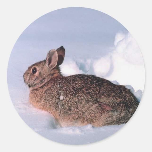 Sellos para sobres de tarjetas de Navidades de con (Anverso)