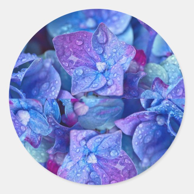 sellos para sobres Hydrangea (Anverso)