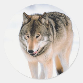 Sellos para sobres navidades