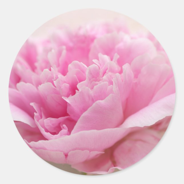 Sellos para sobres Peony Closeup (Anverso)