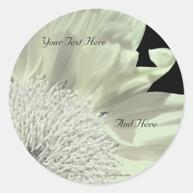 Sellos para sobres Personalizados de Gerbera blanc (Anverso)
