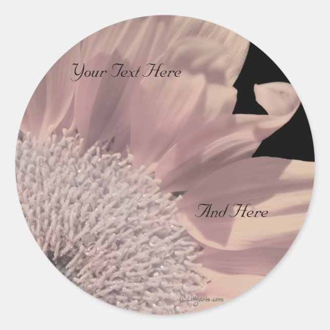 Sellos para sobres Personalizados de Gerbera rosa (Anverso)