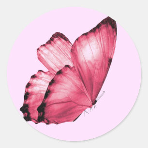 Sellos para sobres redondos de mariposa rosa