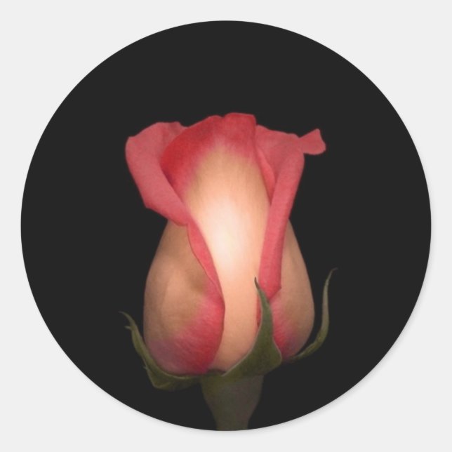 Sellos para sobres Rosa Rosado (Anverso)