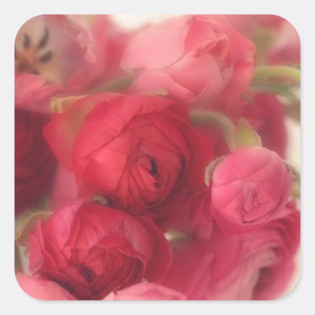 Sellos para sobres y Pegatinas florales rosados (Anverso)