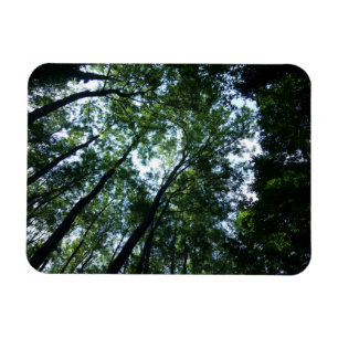 Selva 3"" imán x4