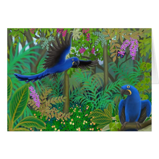 Selva del Macaw del jacinto (Anverso (Horizontal))