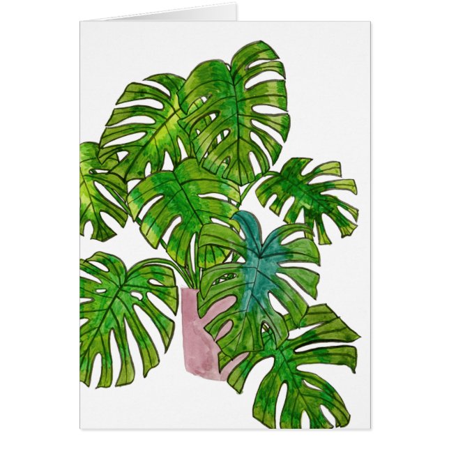 Selva pusilánime I (Frente)