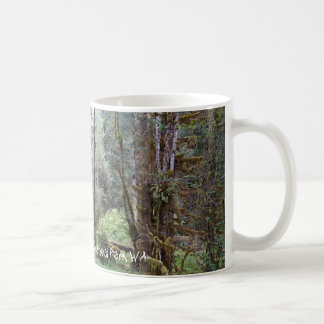 Selva tropical de Hoh, estado de Washington, taza