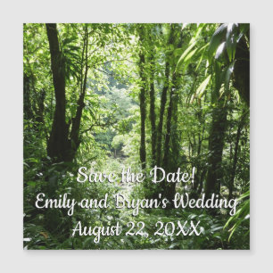 Selva tropical II dominicana de lluvia verde tropi