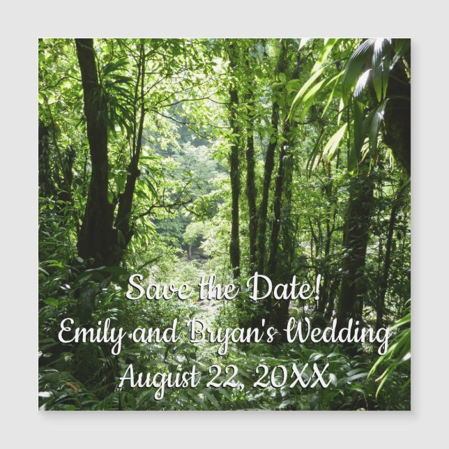 Selva tropical II dominicana de lluvia verde tropi (Anverso)