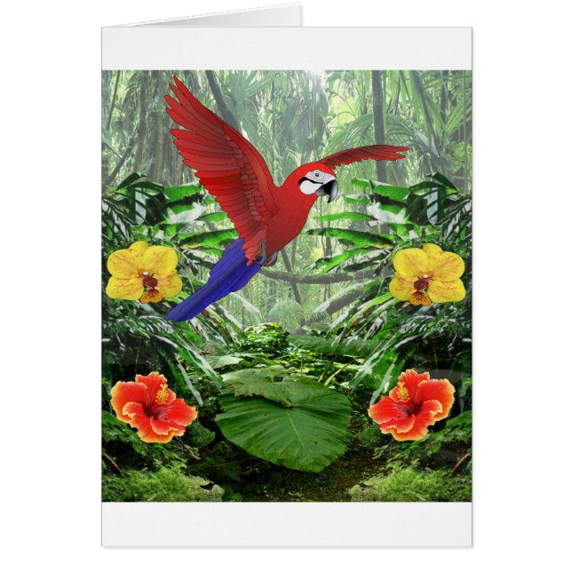 Selva tropical tropical (Frente)