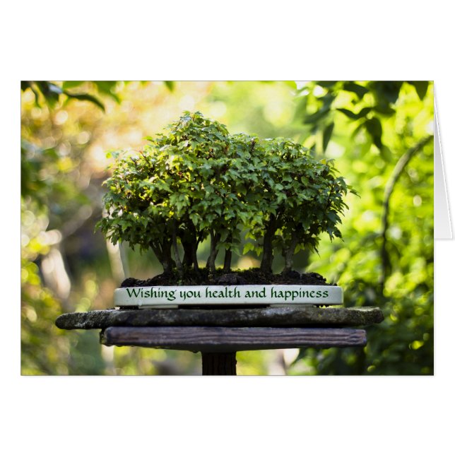 Selva verde en miniatura Bonsai Pot Hojas Pedestal (Anverso (Horizontal))