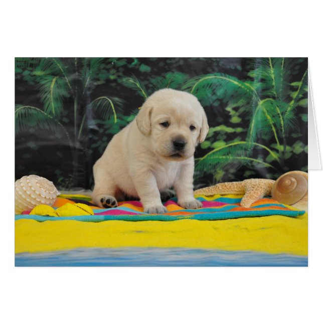 Semana 2 de Leigh Ana (Anverso (Horizontal))