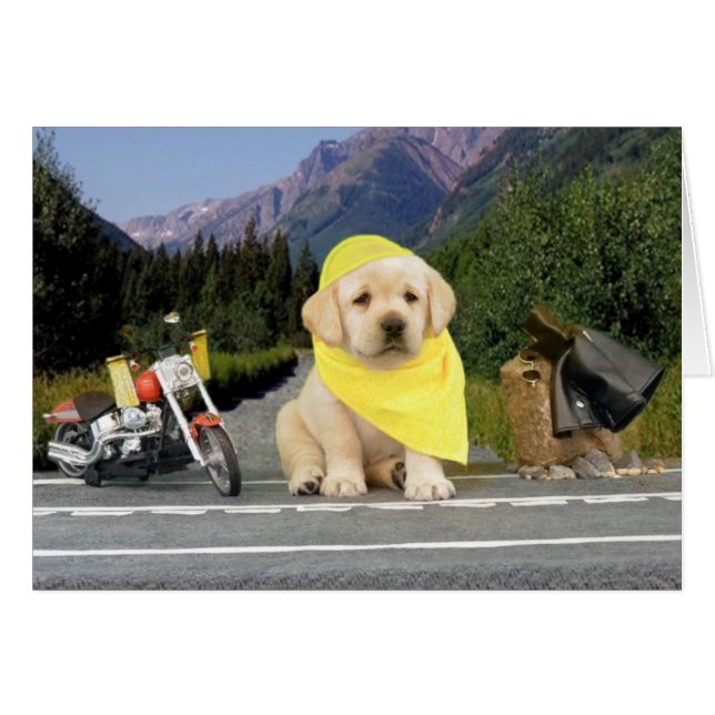 Semana 5 de Leigh Ana (Anverso (Horizontal))