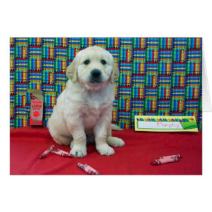 Semana 6 de Murphy