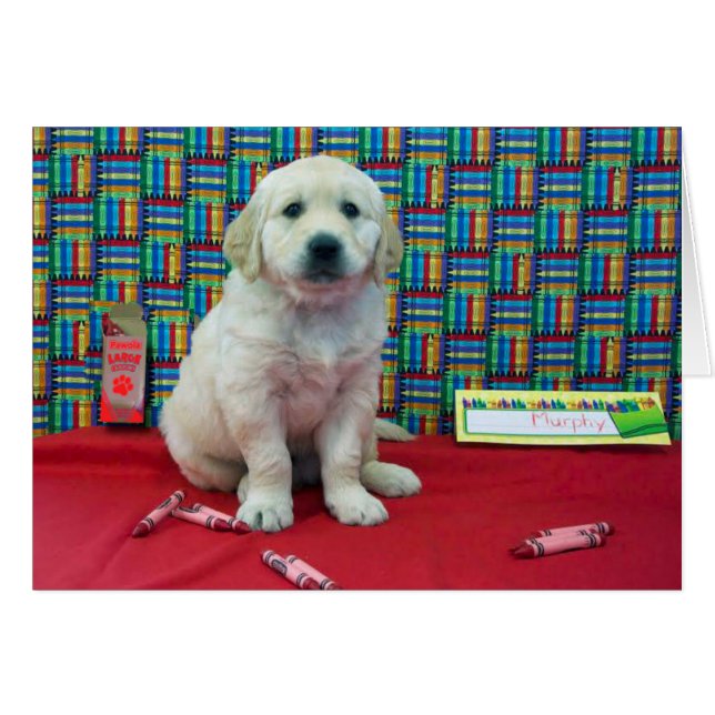 Semana 6 de Murphy (Anverso (Horizontal))