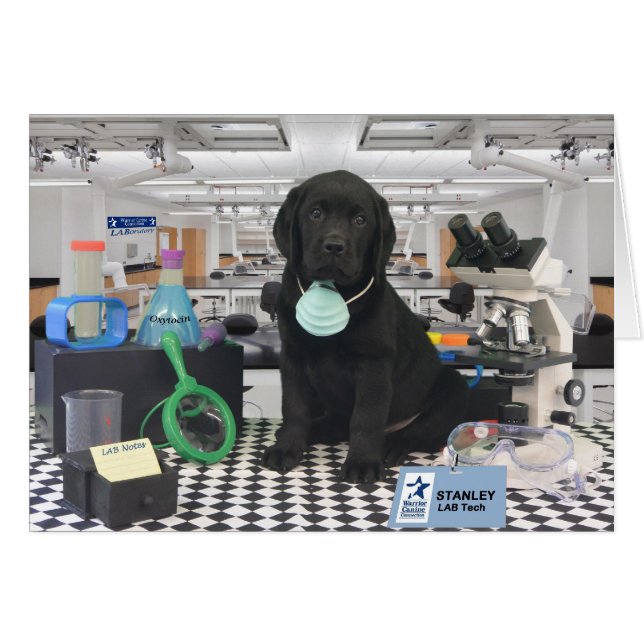 Semana 8 de Stanley (Anverso (Horizontal))