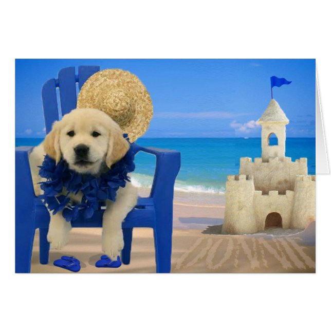 Semana 8 - Playa Donnie (Anverso (Horizontal))